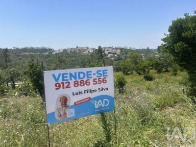 Acheter Terrain Pombal r�gion LEIRIA