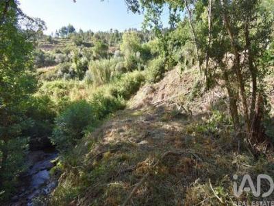 Annonce Vente Terrain Penela