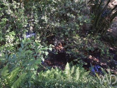 Acheter Terrain 490 m2 Penela