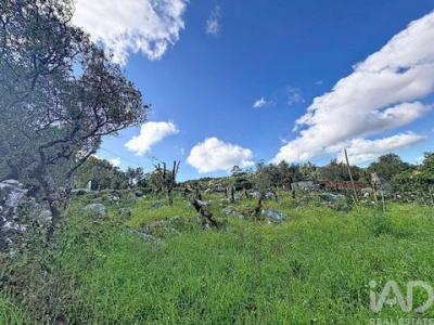 Acheter Terrain 880 m2 Porto-de-mos