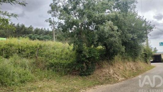 Annonce Vente Terrain Coimbra