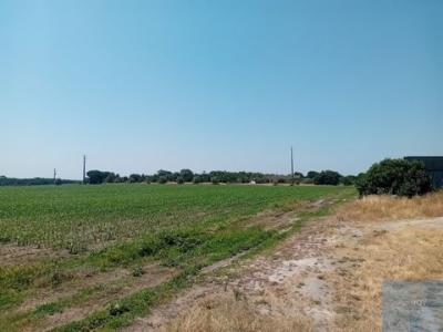Acheter Terrain Canha r�gion SETUBAL