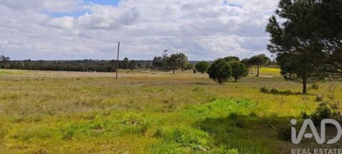 Acheter Terrain Coruche r�gion SANTAREM