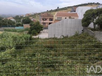 Acheter Terrain 237 m2 Sintra