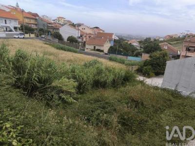 Acheter Terrain Sintra r�gion LISBOA