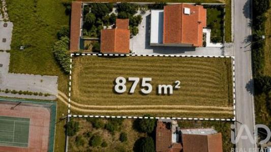 Acheter Terrain Soure r�gion COIMBRA