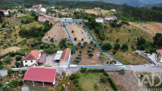 Acheter Terrain 3325 m2 Pedrogao-grande