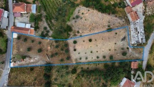 Acheter Terrain Pedrogao-grande r�gion LEIRIA