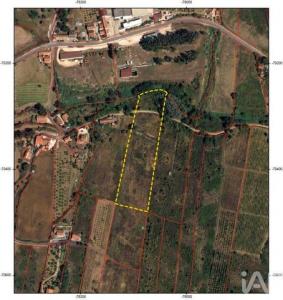 Acheter Terrain 19080 m2 Alenquer