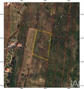 Acheter Terrain Alenquer r�gion LISBOA