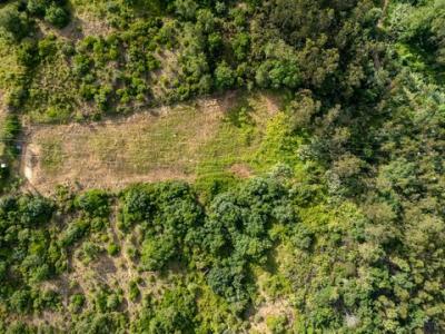 Acheter Terrain 5312 m2 Mafra