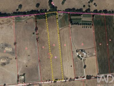 Annonce Vente Terrain Estremoz