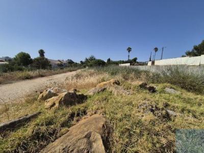 Acheter Terrain 392 m2 Cascais