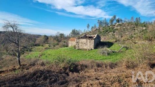 Acheter Terrain 32767 m2 Celorico-da-beira