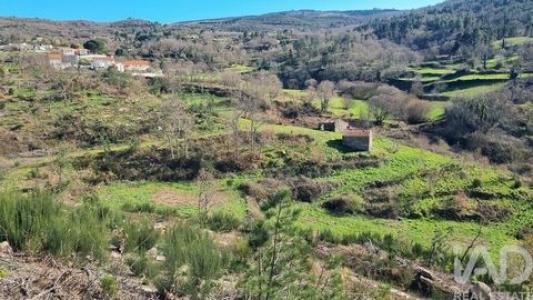 Acheter Terrain Celorico-da-beira r�gion GUARDA