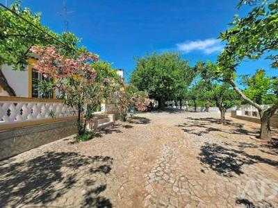 Annonce Vente Maison Elvas