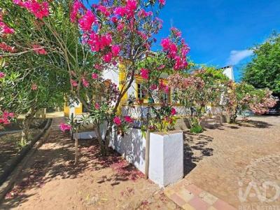 Acheter Maison 300 m2 Elvas