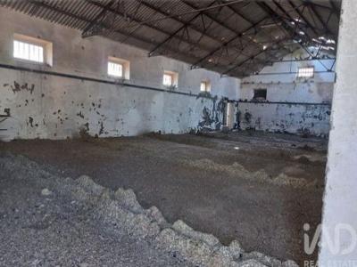 Acheter Local industriel 360 m2 Mora