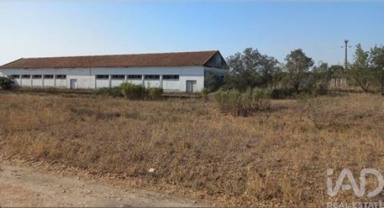 Acheter Local industriel Mora r�gion EVORA