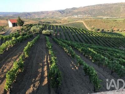 Annonce Vente Maison Vila-flor