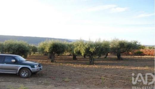 Acheter Maison Vila-flor r�gion BRAGANCA