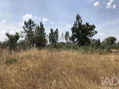 Annonce Vente Terrain Ourem