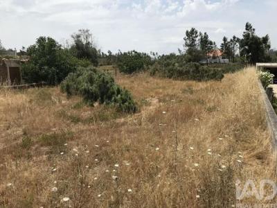Acheter Terrain 3000 m2 Ourem
