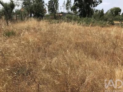 Acheter Terrain Ourem r�gion SANTAREM