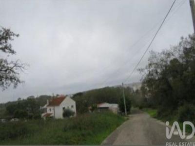 Vente Terrain Tomar SA�O-PEDRO-DE-TOMAR 14 au Portugal