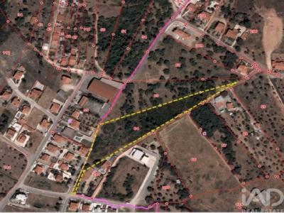 Annonce Vente Terrain Tomar