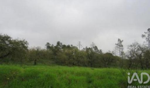 Acheter Terrain 10220 m2 Tomar