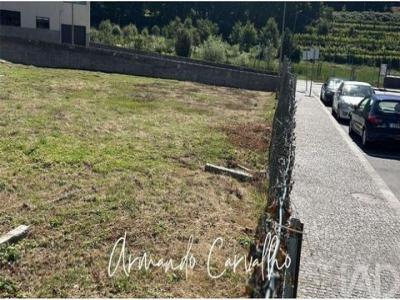 Acheter Terrain Vale-de-cambra r�gion AVEIRO