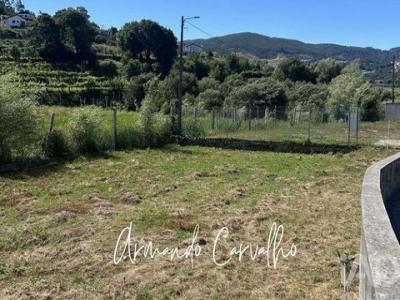 Acheter Terrain 398 m2 Vale-de-cambra