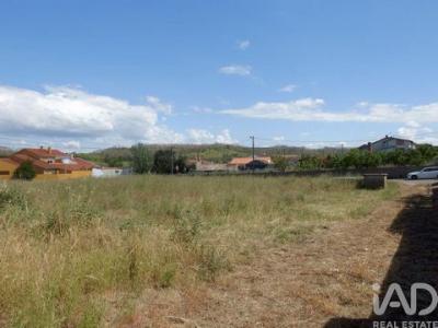 Acheter Terrain Leiria r�gion LEIRIA