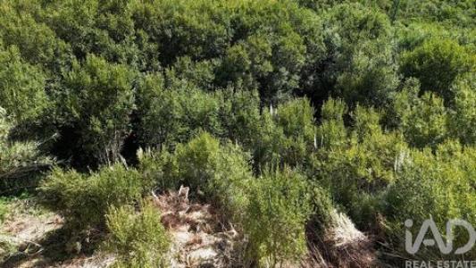 Vente Terrain Mafra CARVOEIRA 11 au Portugal