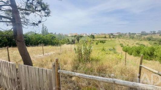 Acheter Terrain 1920 m2 Torres-vedras