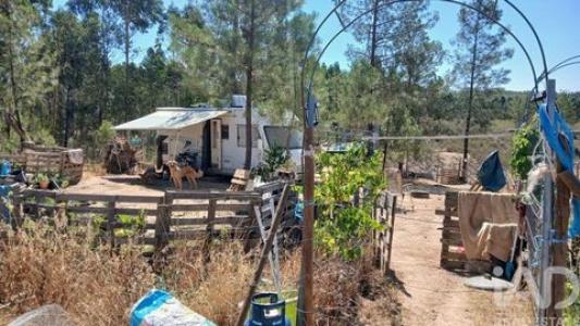 Annonce Vente Terrain Castelo-branco