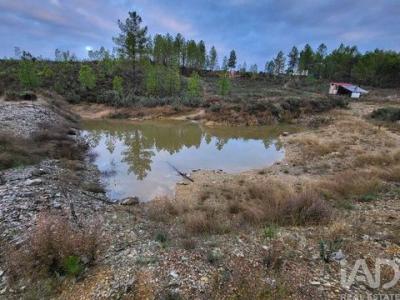 Acheter Terrain 26880 m2 Castelo-branco