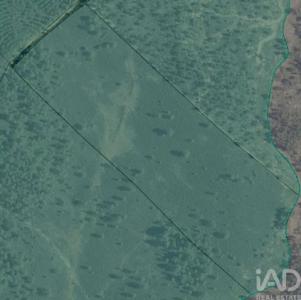 Acheter Terrain Castelo-branco r�gion BRAGANCA