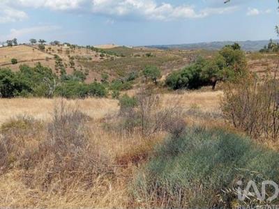Annonce Vente Terrain Almodovar