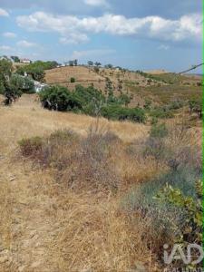 Acheter Terrain Almodovar r�gion BEJA