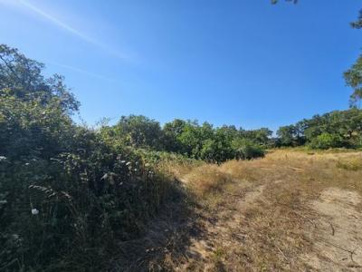 Acheter Terrain Mafra r�gion LISBOA