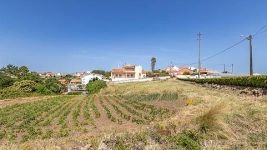 Acheter Terrain 6249 m2 Mafra