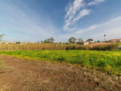 Annonce Vente Terrain Mafra