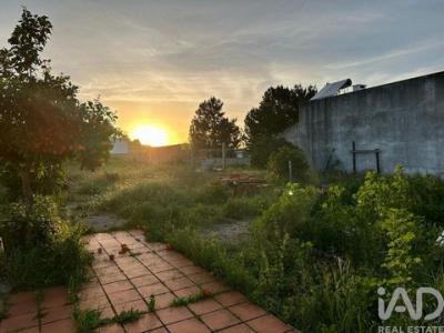 Annonce Vente Terrain Palmela