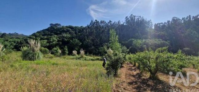 Annonce Vente Terrain Mafra