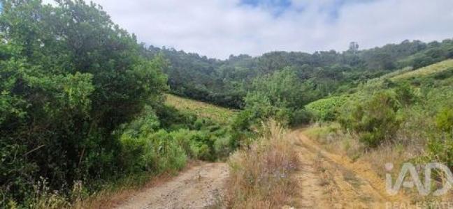 Acheter Terrain 4187 m2 Mafra
