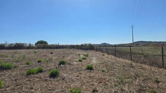 Annonce Vente Terrain Mafra