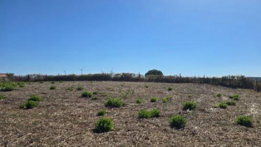Acheter Terrain 1500 m2 Mafra