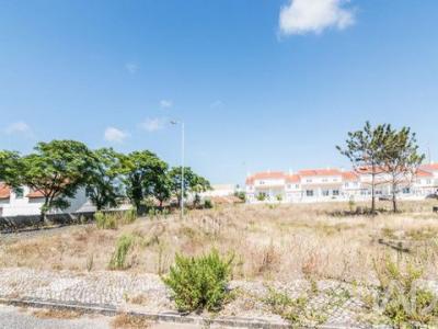Annonce Vente Terrain Marinha-grande